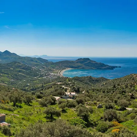 Sellia Πλακιάς